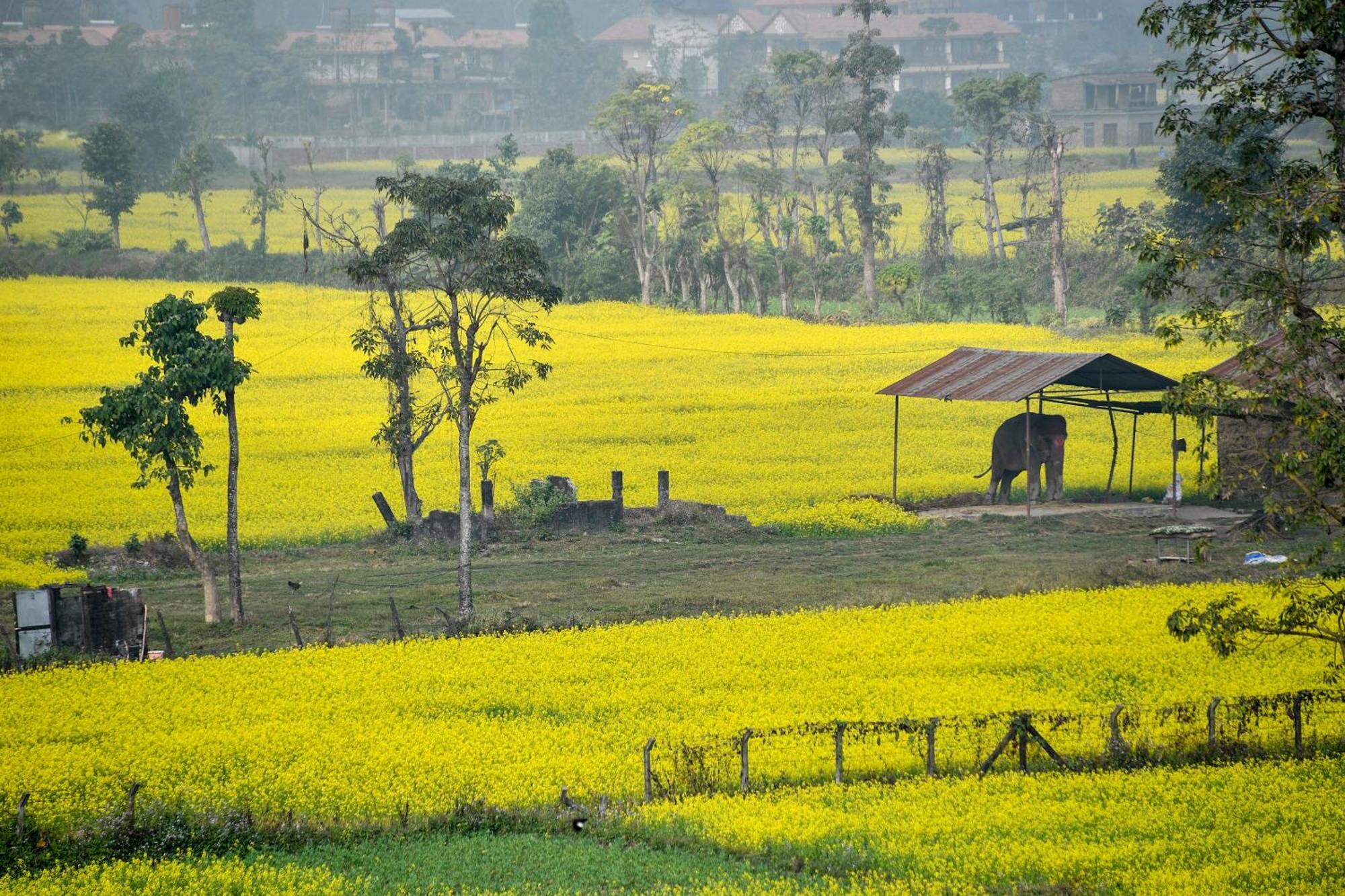 Sweet Home Чітаван Екстер'єр фото